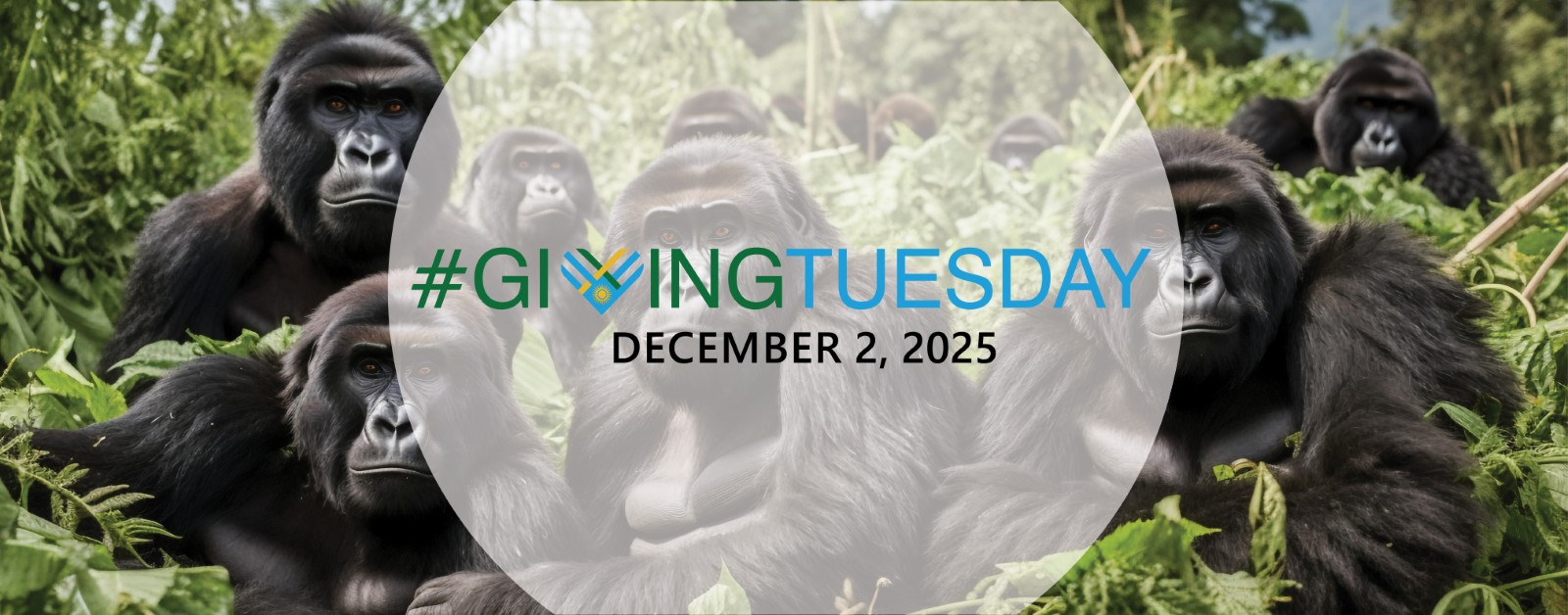 Giving Tuesday Rwanda