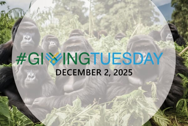 Giving Tuesday Rwanda