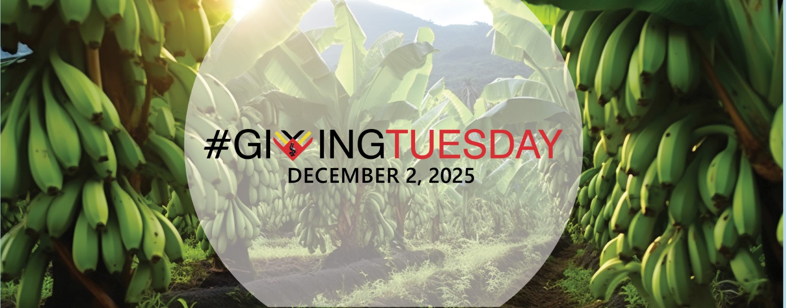 Giving Tuesday Uganda