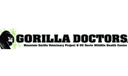 Gorilla Doctor -WHC-2022